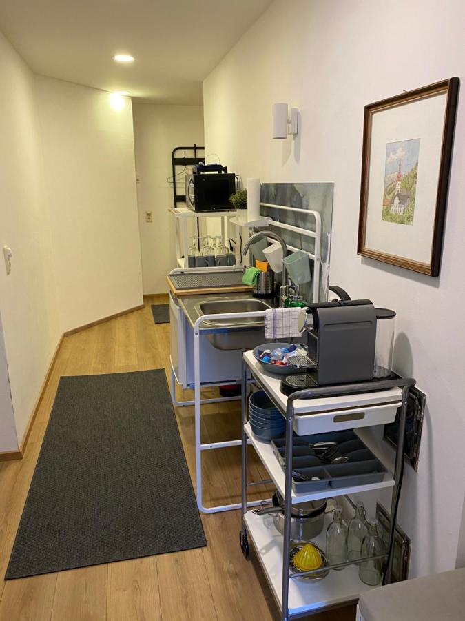 Glueck Am See - Apartment Mit Seezugang ฮัลล์สตัทท์ ภายนอก รูปภาพ