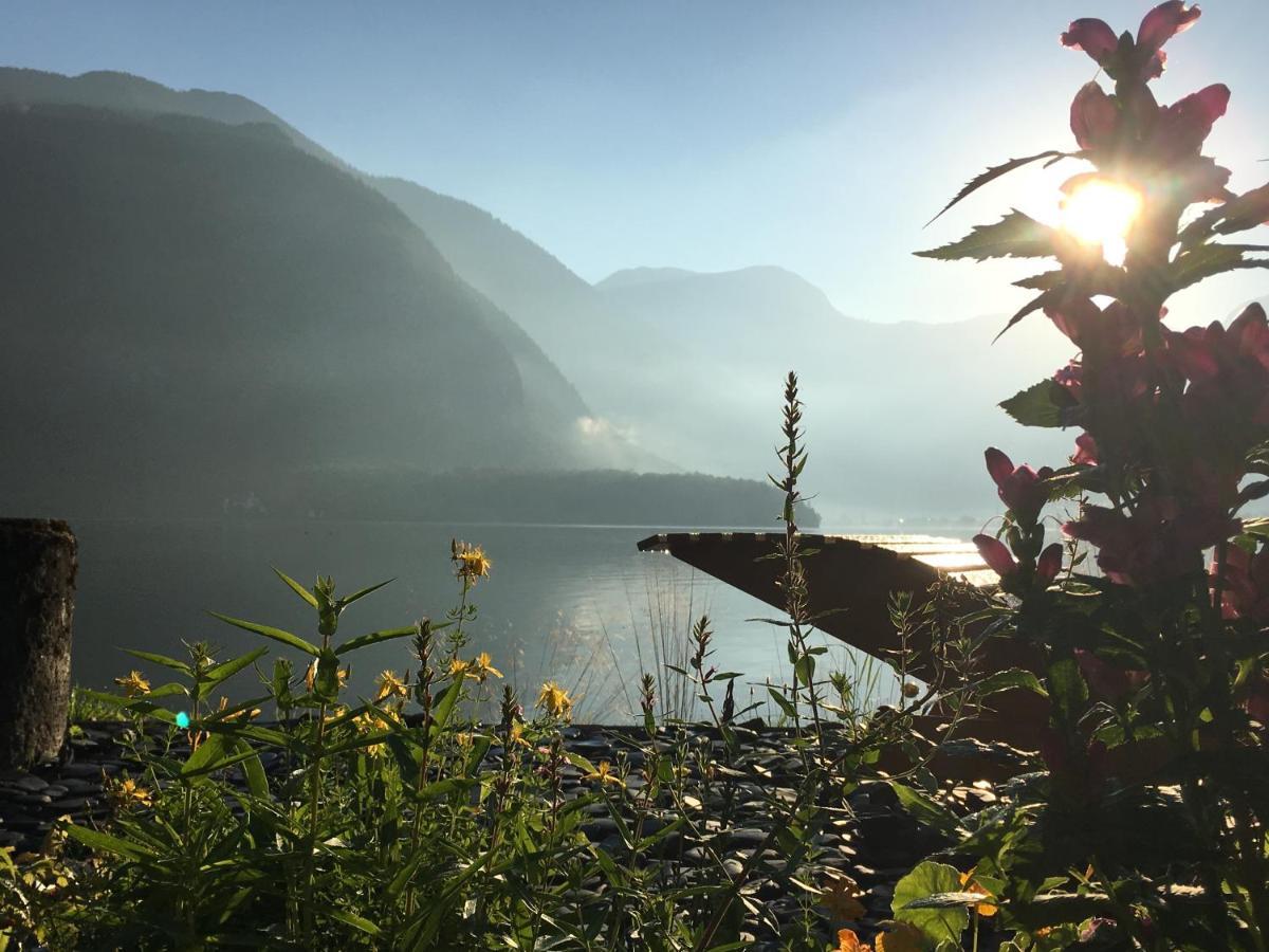 Glueck Am See - Apartment Mit Seezugang ฮัลล์สตัทท์ ภายนอก รูปภาพ